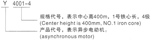 西安泰富西玛Y系列(H355-1000)高压YR5005-6/710KW三相异步电机型号说明